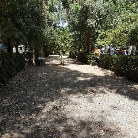 Oriental Park