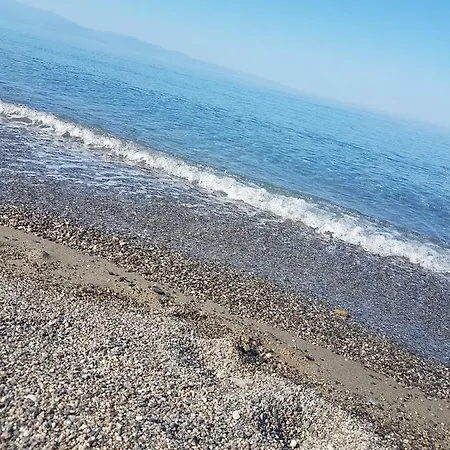 홀리데이파크 Oriental Park