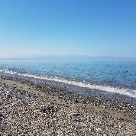 Oriental Park * 로사노