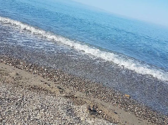 假日公园 Oriental Park